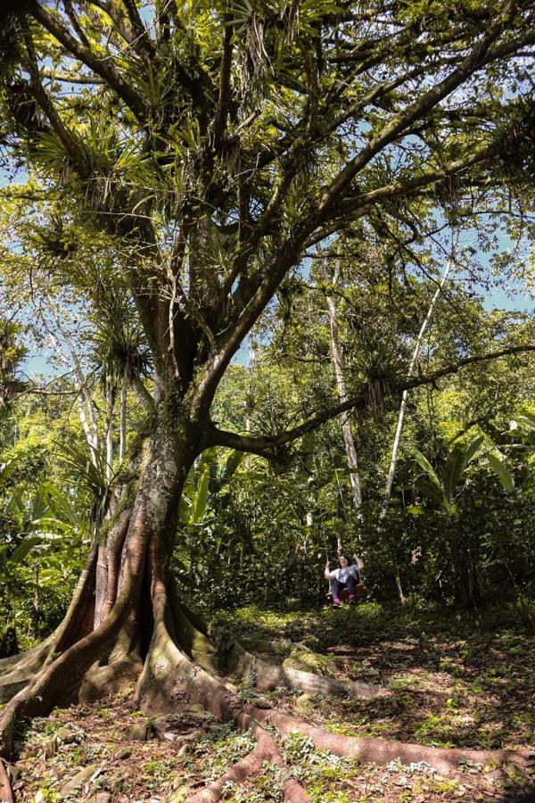 Chale Suico - Chales Belo Monte - Sitio Belo Monte Pacoti Buitenkant foto