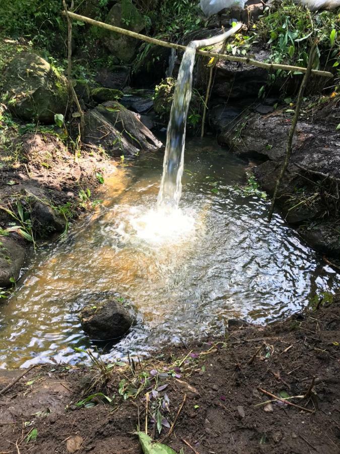 Chale Suico - Chales Belo Monte - Sitio Belo Monte Pacoti Buitenkant foto